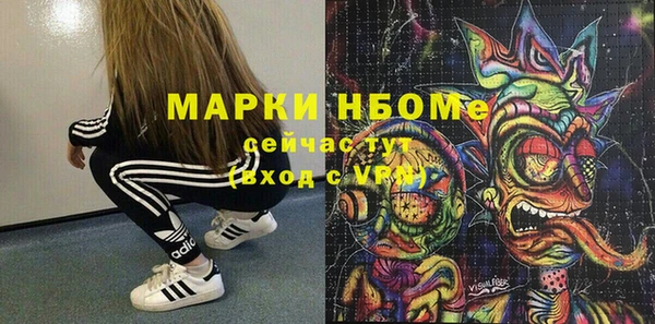 стаф Бородино