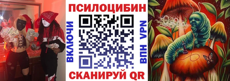 Псилоцибиновые грибы мицелий  Томмот 